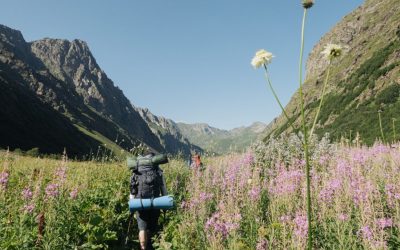 Why Is Sustainable Tourism the Future of the Hospitality Industry?